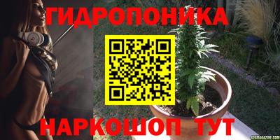 спиды Будённовск