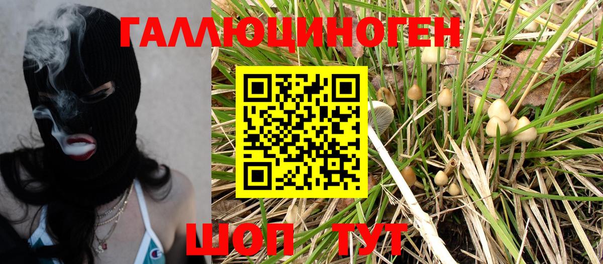 Нижнеудинск  как найти наркотики  Вход с VPN  Галлюциногенные грибы Magic Shrooms 